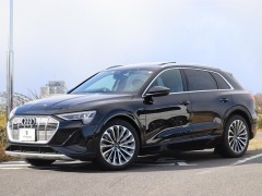 Audi e-tron e-tron 50 quattro advanced (12.2020 - 09.2021)