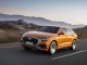 Характеристики автомобиля Audi Q8 3.0 55 TFSI quattro tiptronic Design (11.2018 - 12.2022): фото, вместимость, скорость, двигатель, топливо, масса, отзывы