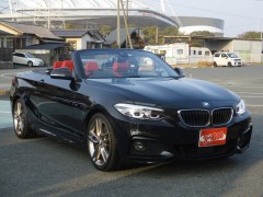 BMW 2-Series 220i Luxury (01.2019 - 01.2021)