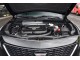 Характеристики автомобиля Cadillac XT4 2.0T AT 28T Fashion (12.2021 - 11.2022): фото, вместимость, скорость, двигатель, топливо, масса, отзывы