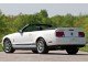 Характеристики автомобиля Ford Mustang 4.6 AT Shelby Mustang GT (08.2006 - 07.2007): фото, вместимость, скорость, двигатель, топливо, масса, отзывы